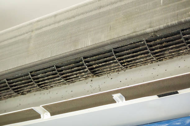 Best Emergency Air Duct Cleaning  in Wyboo, SC